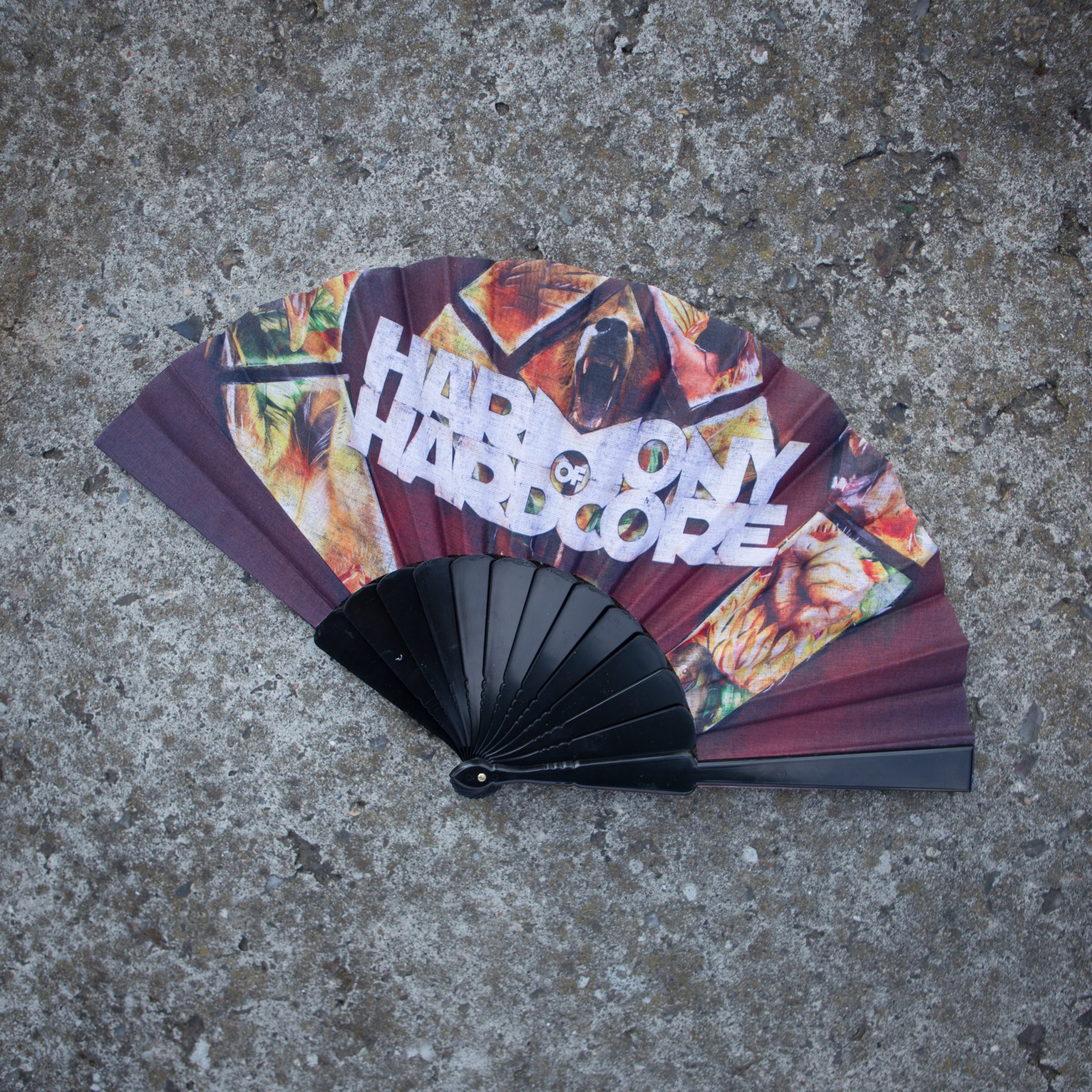 IMG_7896-2 - Harmony of Hardcore