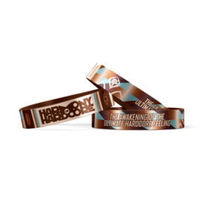 FESTIVAL WRISTBAND 2026
